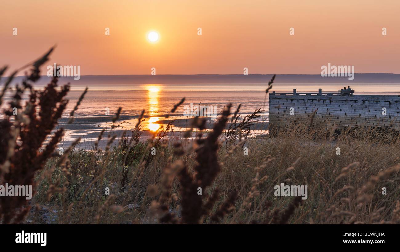 Coppia che guarda il tramonto sulla baia di Fundy sul molo con fogliame erboso Foto Stock