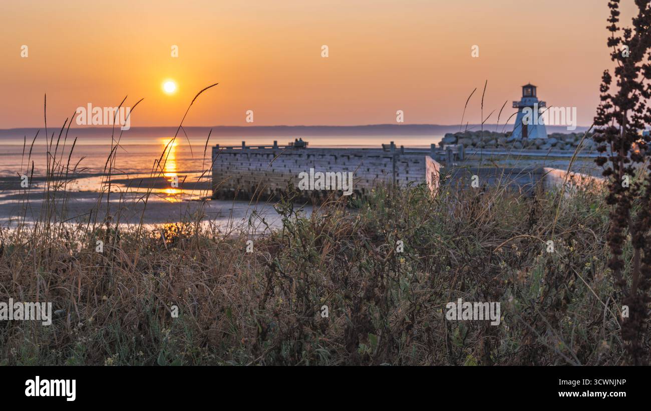 Luce notturna dorata con fogliame e faro, nuova Scozia Foto Stock