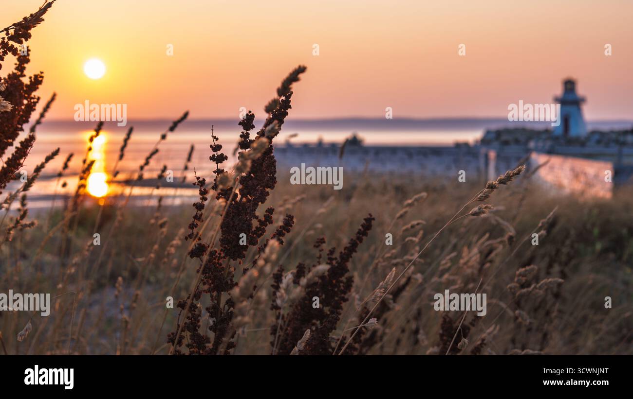 Fogliame e faro con calda luce al tramonto, Belliveauâ€™S Cove Foto Stock