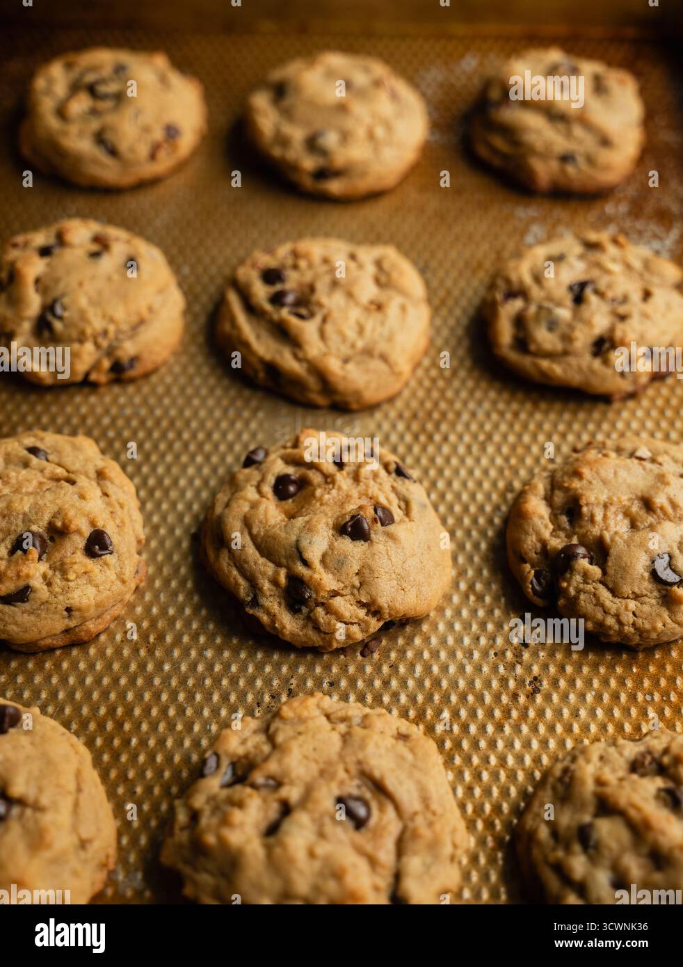 Primo piano ad angolo alto di una teglia di biscotti con scaglie di cioccolato appena sfornati. Foto Stock