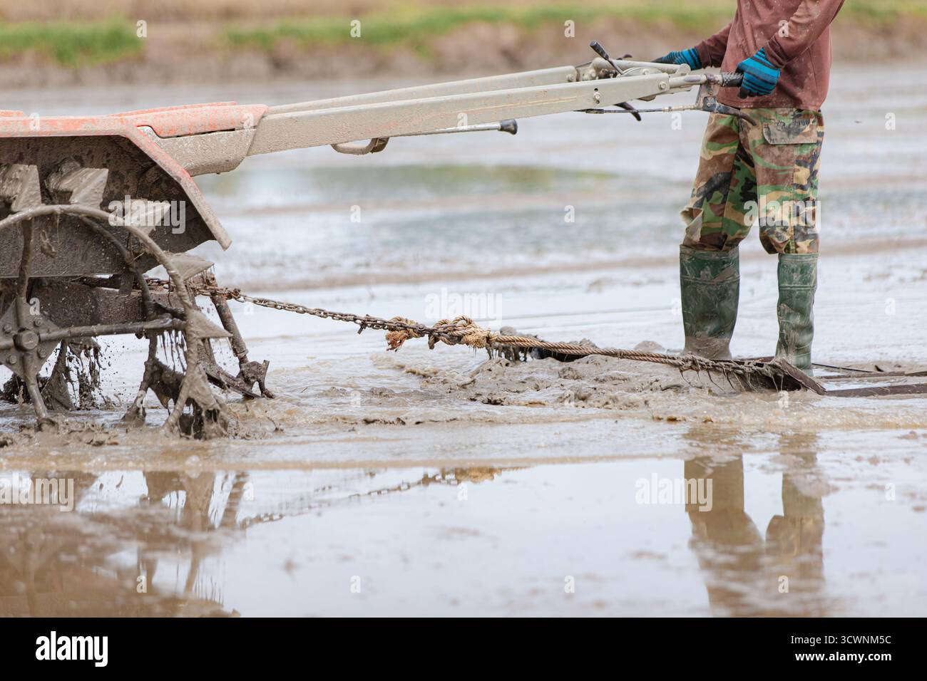 Coltivatore tailandese che ara campi di riso con trattore Foto Stock