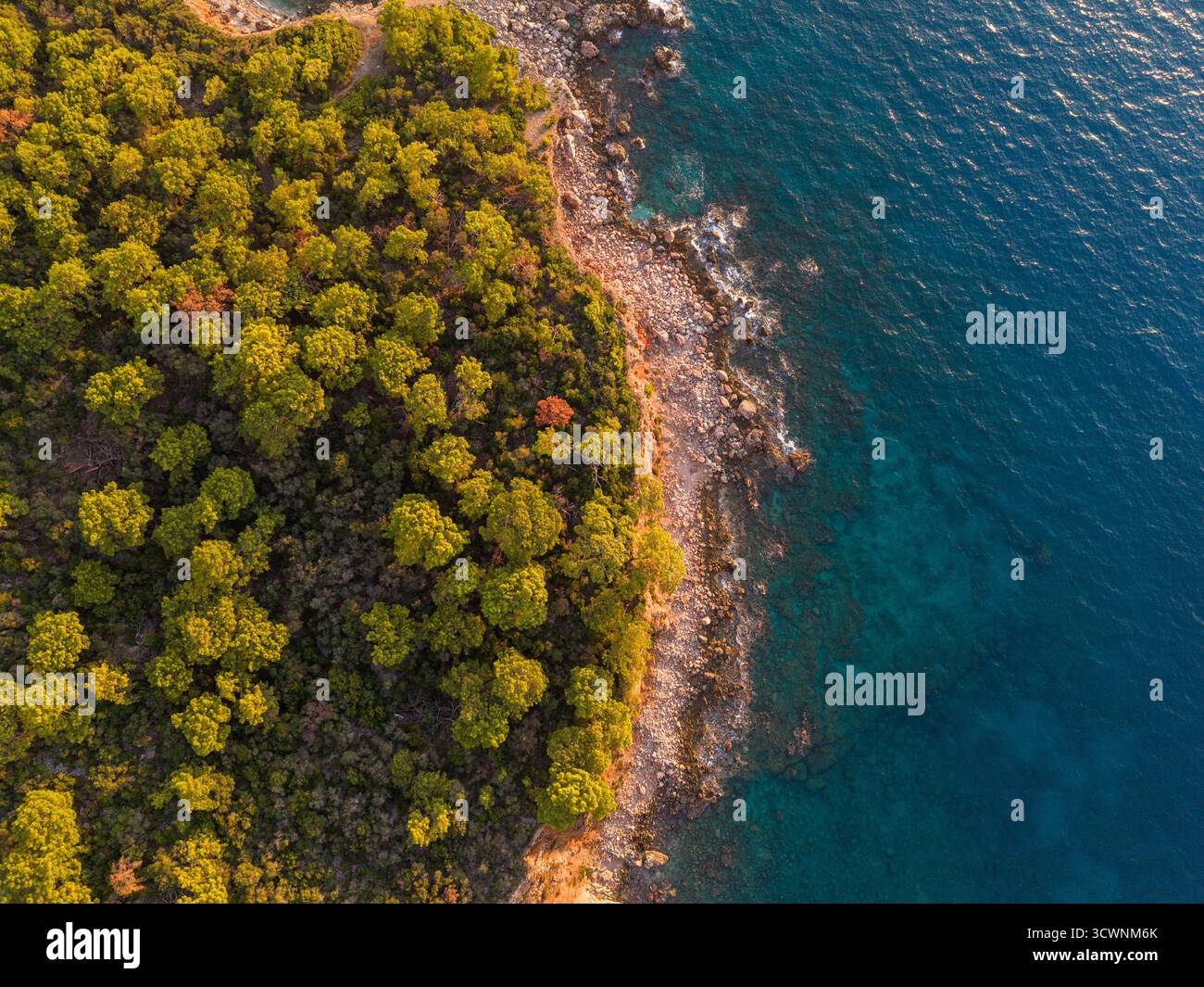 Volo dall'alto verso il basso della fitta foresta costiera che incontra la costa turchese Foto Stock