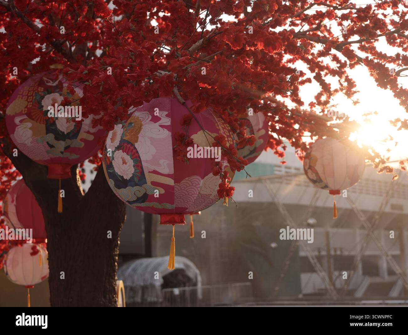 Lanterne appese ad un albero durante il tramonto in occasione di un evento festivo Foto Stock