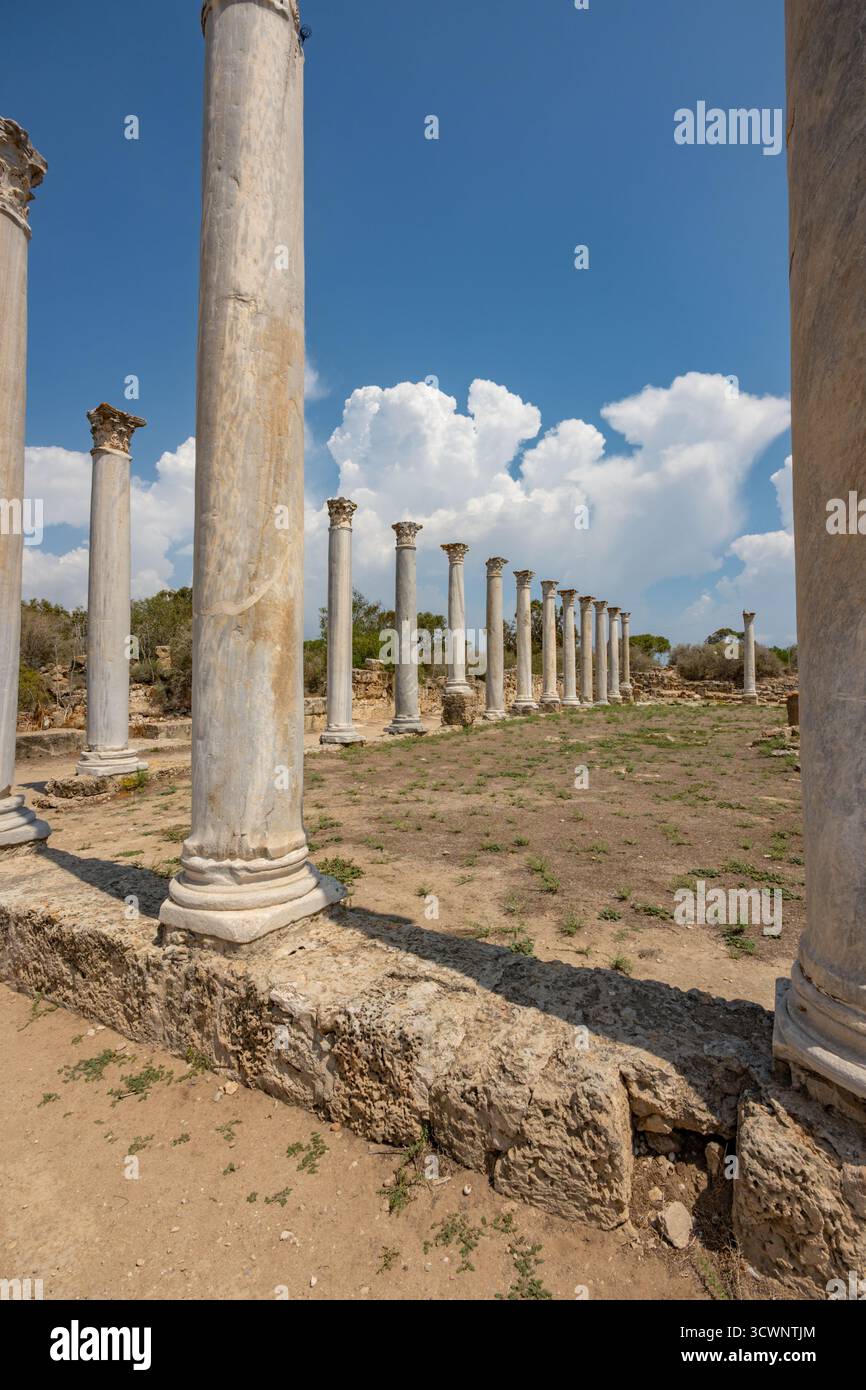 La palestra nelle rovine romane della città di Salamina nella Cipro settentrionale controllata dai turchi Foto Stock