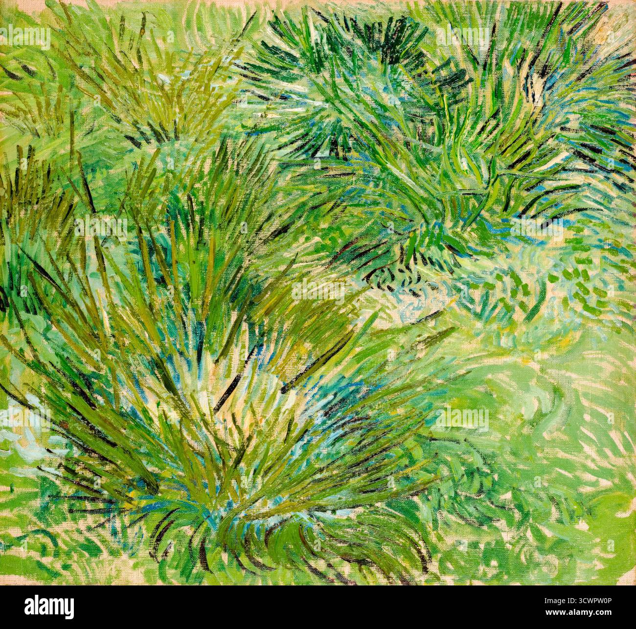 Vincent van Gogh, grumi d'erba, pittura ad olio su tela, 1889 Foto Stock