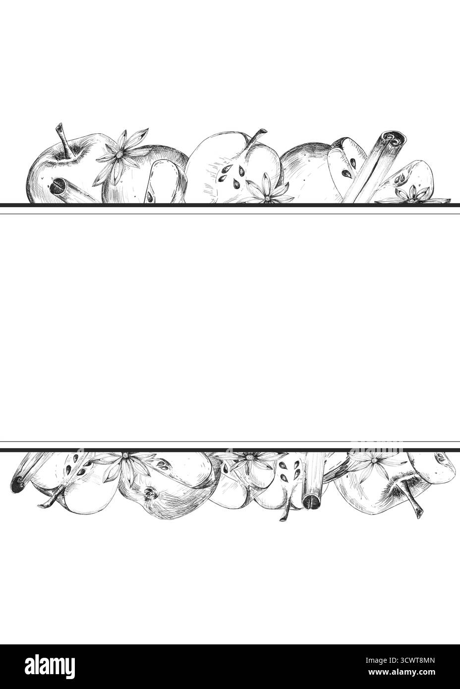 Cartolina o invito preconfezionato di mele, zecche di cannella e anice stellato nei bordi e nello spazio per il testo. Disegno a inchiostro bianco e nero, illustratore disegnato a mano Foto Stock