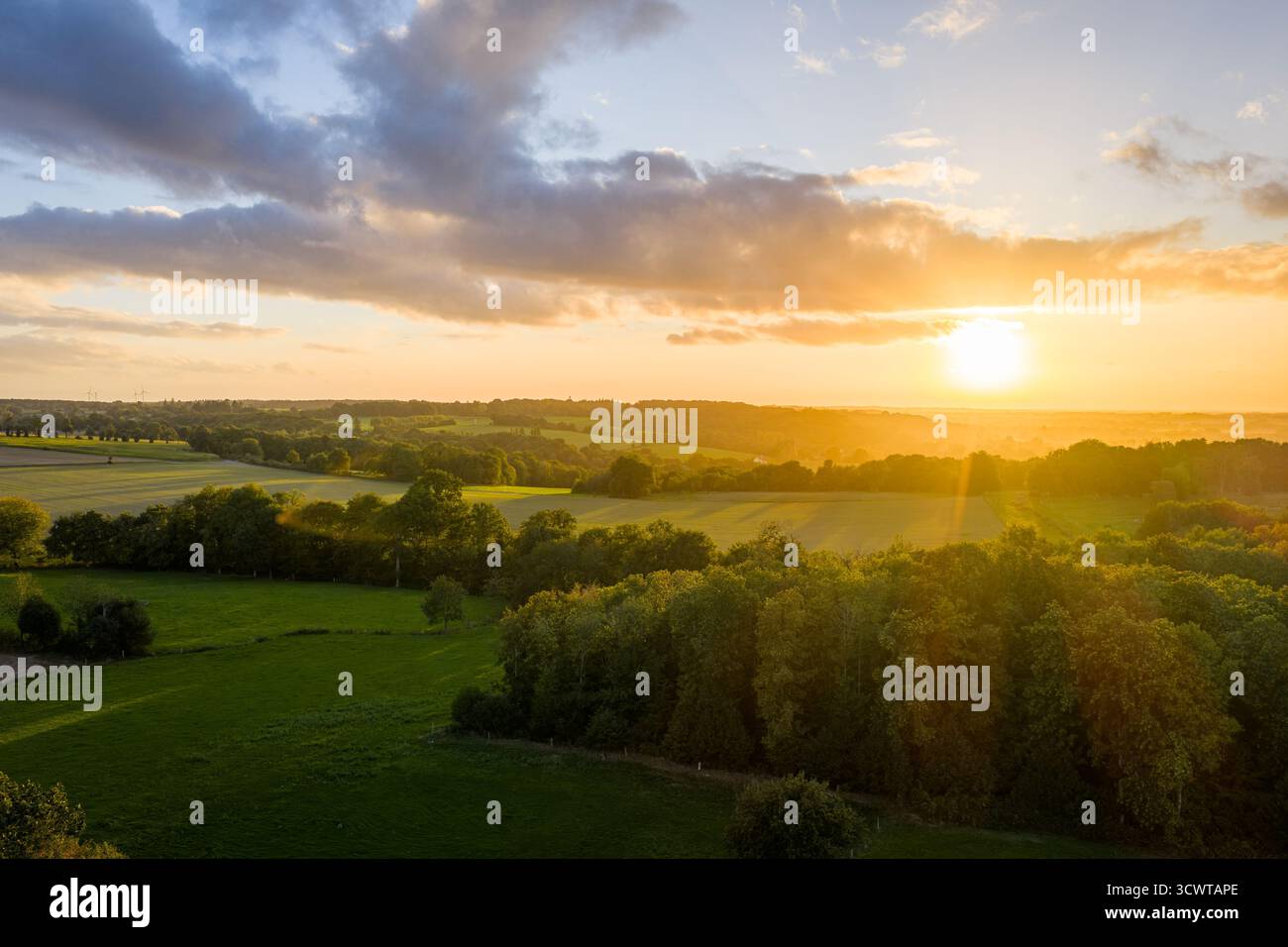 Tramonto dorato su Rolling Fields e Foresta, luce calda, tranquillo paesaggio rurale al tramonto Foto Stock