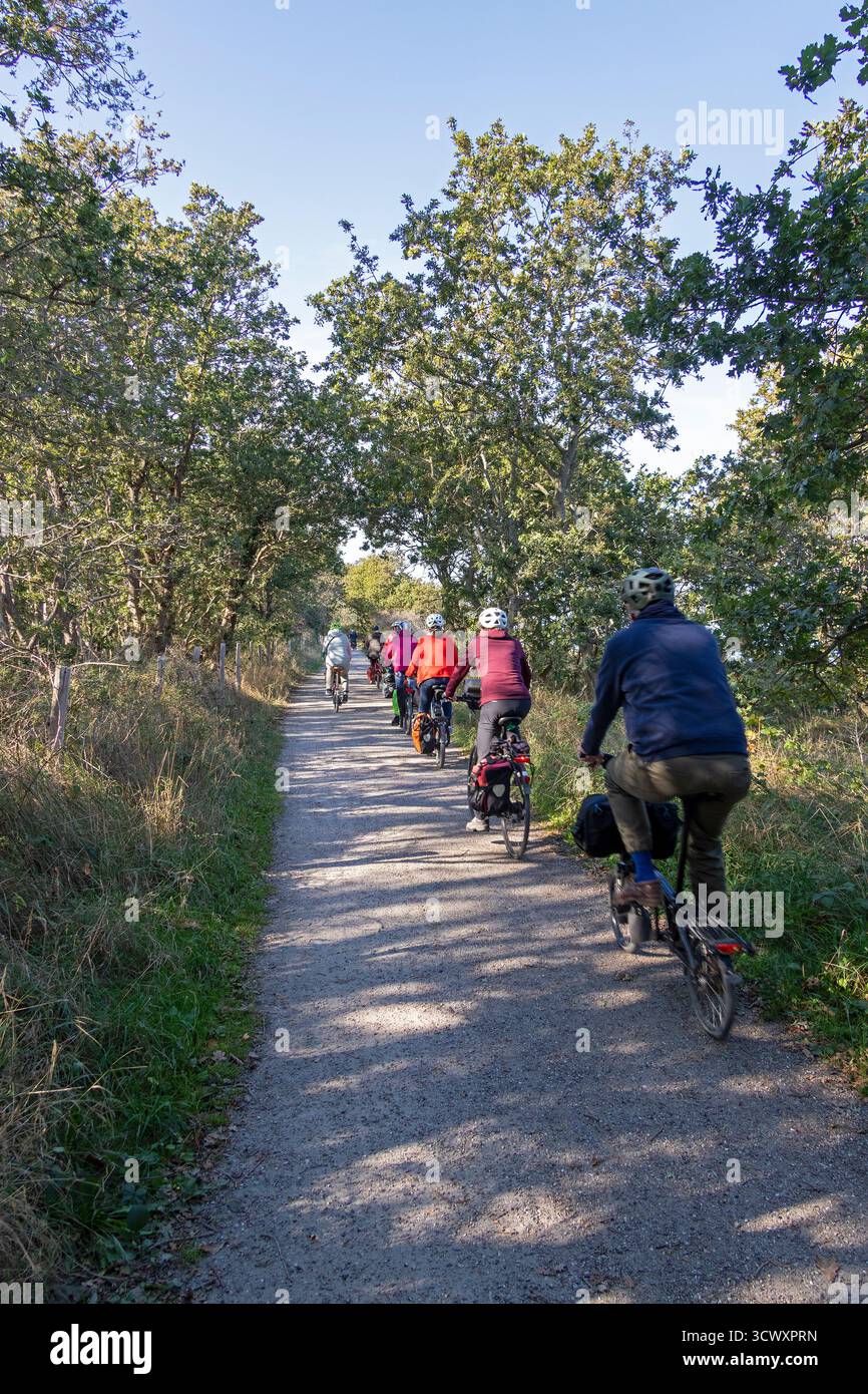 Ciclisti, pista, alberi, riserva naturale Gelting Birk, Nieby, Schleswig-Holstein, Germania Foto Stock