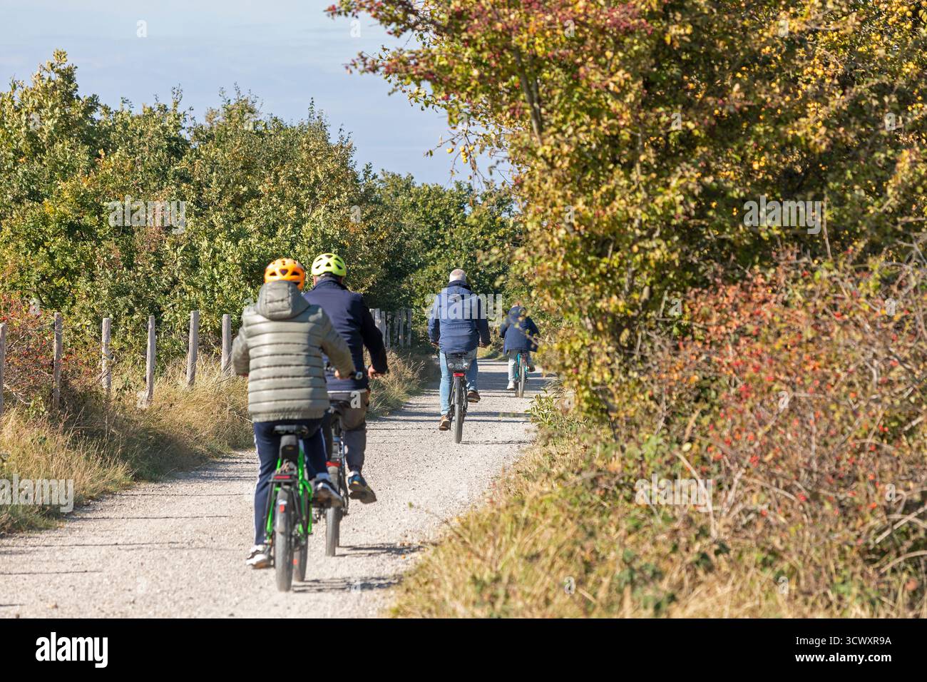 Ciclisti, pista, alberi, riserva naturale Gelting Birk, Nieby, Schleswig-Holstein, Germania Foto Stock