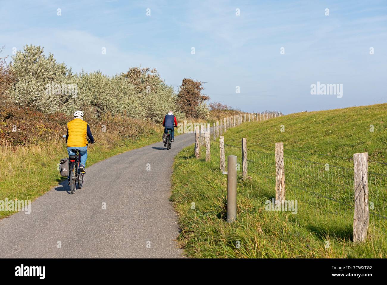 Ciclisti, pista, recinzione, pascolo, Falshöft, Pommerby, Schleswig-Holstein, Germania Foto Stock