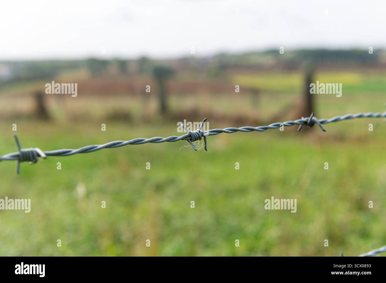 Mesen Belgio settembre 2025 New Zealand Memorial Park per i neozelandesi morti nella prima guerra mondiale. Vista dal parco alla campagna che fu teatro della battaglia di Messines Ridge. WWI, WW1, First, Messines, Battaglia, colmo, dentellato, filo, prikkeldraad, Foto Stock