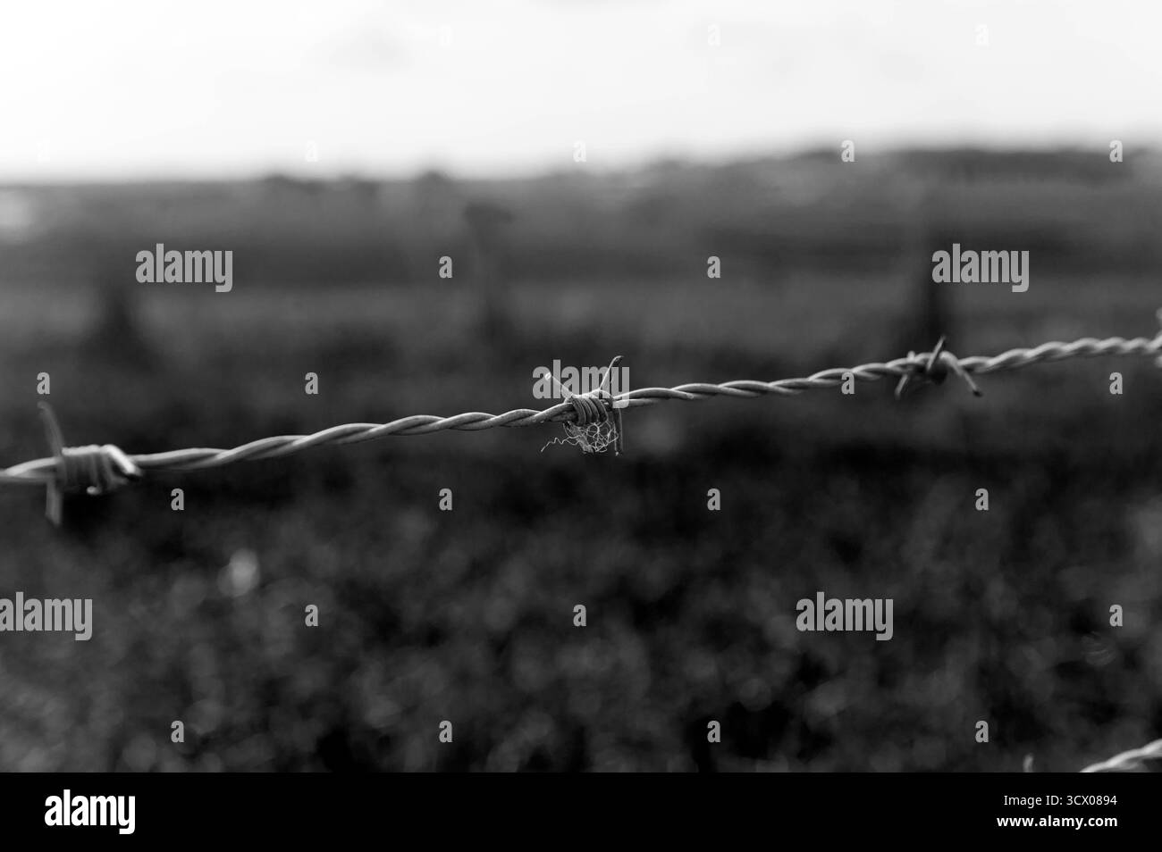 Mesen Belgio settembre 2025 New Zealand Memorial Park per i neozelandesi morti nella prima guerra mondiale. Vista dal parco alla campagna che fu teatro della battaglia di Messines Ridge. WWI, WW1, First, Messines, Battaglia, colmo, dentellato, filo, prikkeldraad, Foto Stock