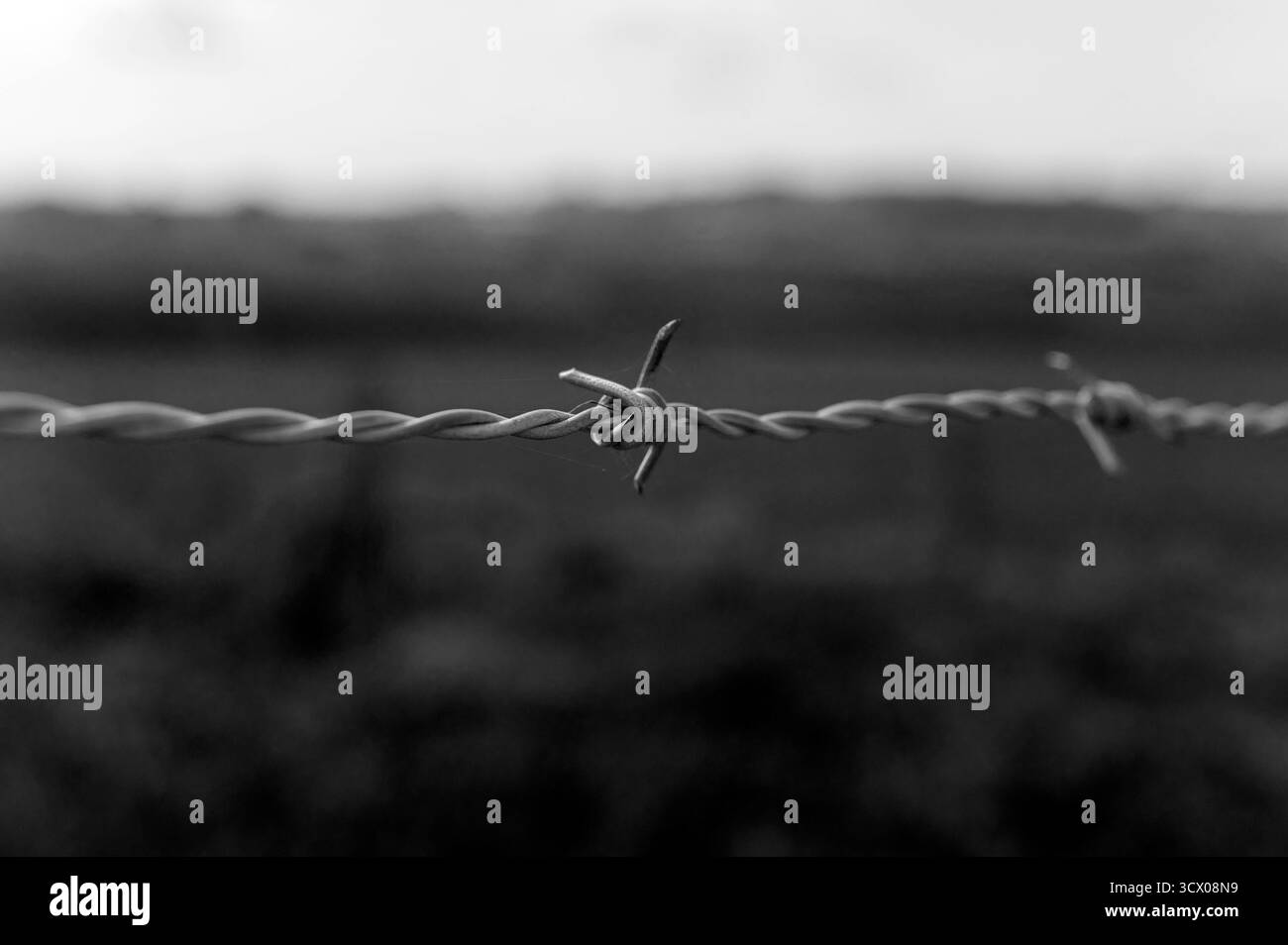 Mesen Belgio settembre 2025 New Zealand Memorial Park per i neozelandesi morti nella prima guerra mondiale. Vista dal parco alla campagna che fu teatro della battaglia di Messines Ridge. WWI, WW1, First, Messines, Battaglia, colmo, dentellato, filo, prikkeldraad, Foto Stock