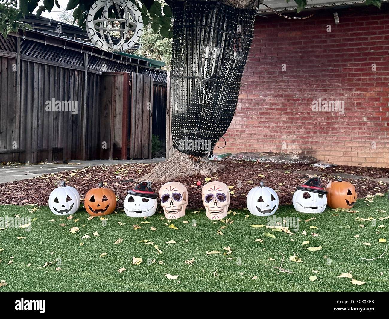 Mostra di zucche e teschi di Halloween Yard - scena all'aperto festosa Foto Stock