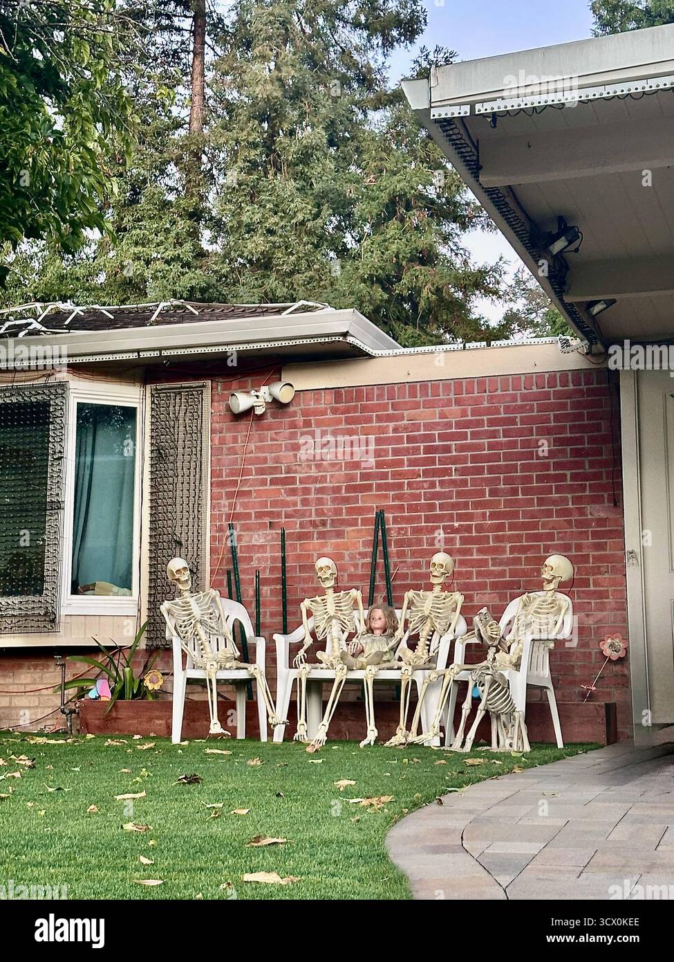 Skeleton Friends Gathering in Backyard - divertente scena di Halloween Foto Stock