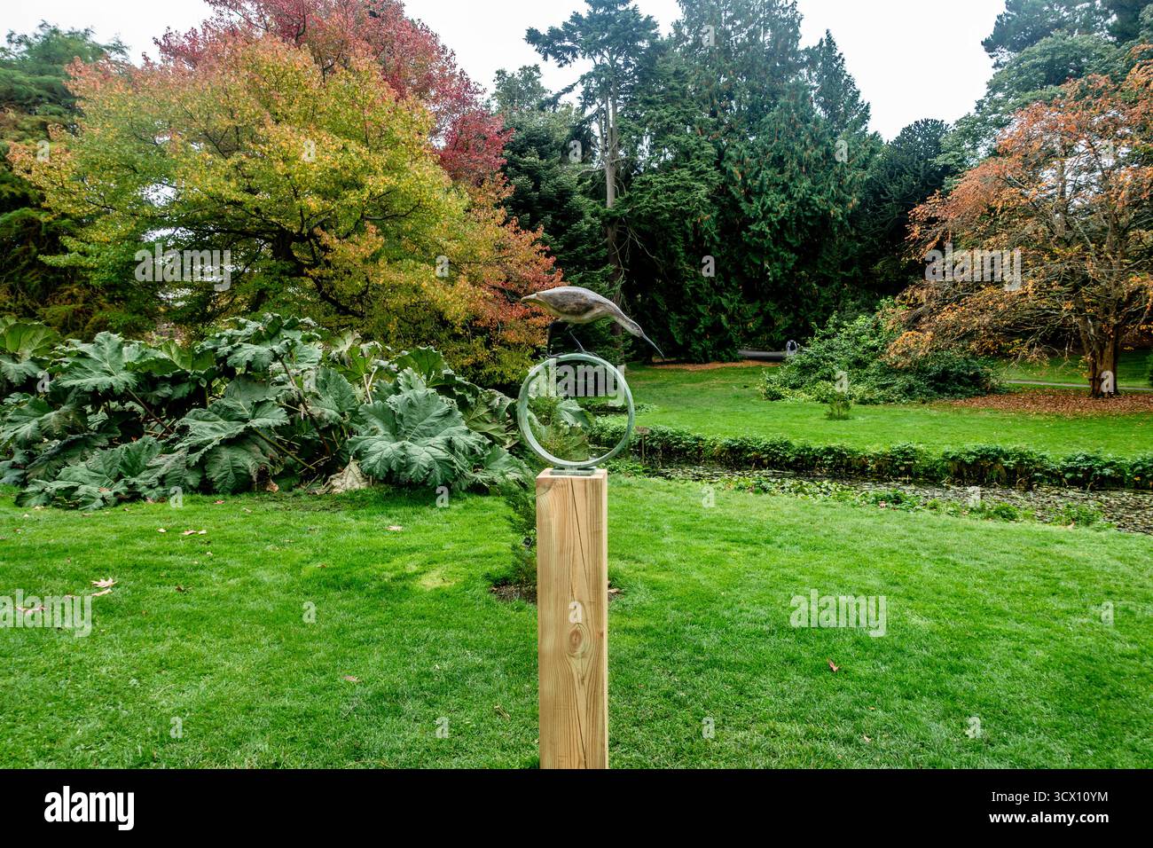 Running Curlew di Fiona Smith, scultura di uccello in bronzo montata su zoccolo in legno con elemento circolare, Sculpture in Context Exhibition, National Botanic Foto Stock