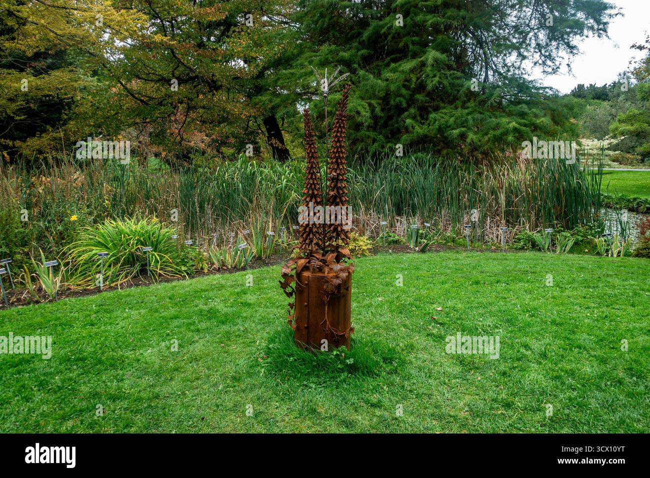 Dragonfly di Garrett Herbert, scultura forgiata in acciaio, bronzo e zoccolo in corten, esposta alla Sculpture in Context Exhibition, National Botanic Garden Foto Stock