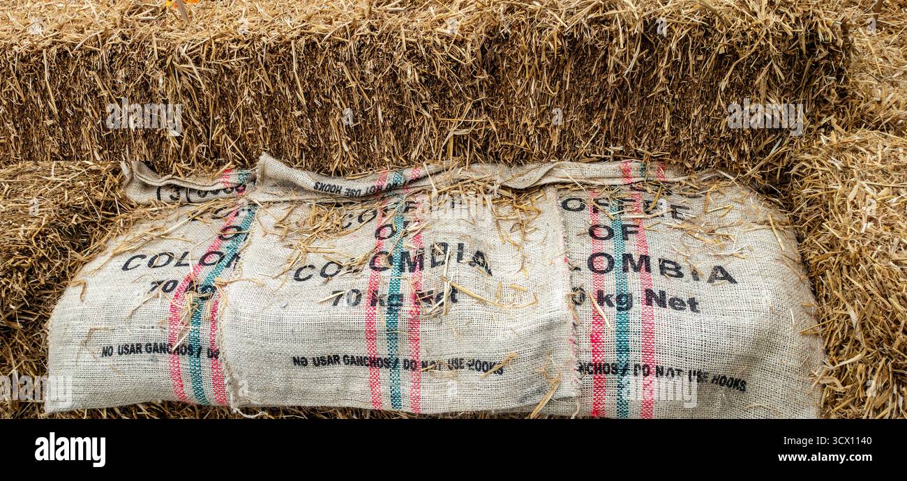 Sacco di caffè colombiano appoggiato su balle di paglia, contrassegnato con “prodotto della Colombia 70kg netto”, con strisce rosse e verdi, esposizione agricola rustica. Foto Stock