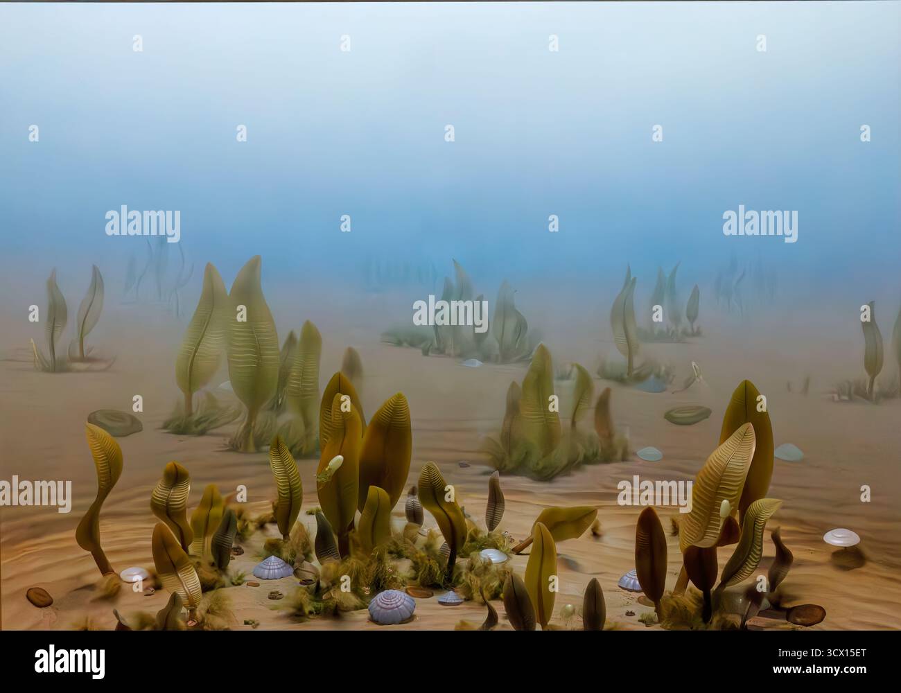 Vita oceanica primitiva sull'antico fondale marino, biota Ediacarano, 600 milioni di anni fa, Eon Proterozoico. Diorama del Denver Museum of Nature & Science Foto Stock