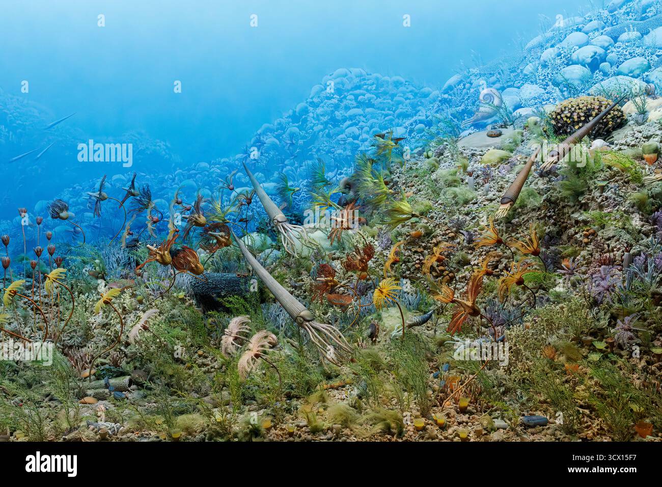 Antico diorama marino, ecosistema della barriera corallina Siluriana (425 milioni di anni fa), che mostra diverse forme di vita marina multicellulare. Denver Museum of Nature & Science, C Foto Stock
