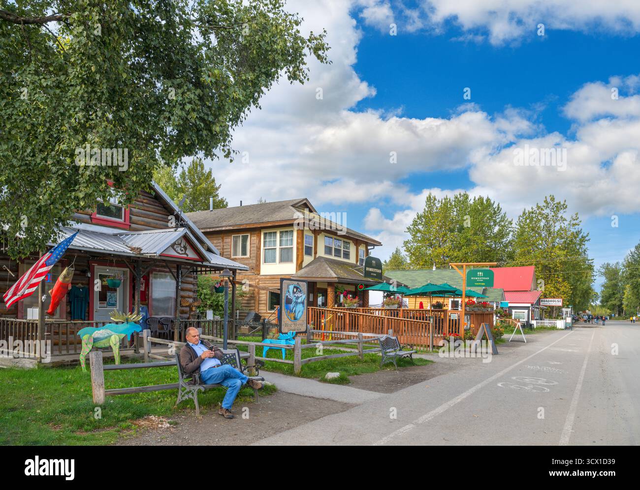 Negozi e ristoranti sulla East Main Street a Talkeetna, Alaska, Stati Uniti Foto Stock