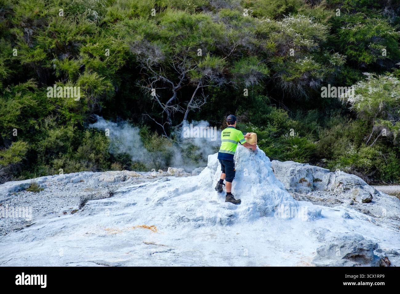 Il personale di Waiotapu Thermal Wonderland versa sapone al Lady Knox Geyser per indurre un'eruzione, Rotorua, nuova Zelanda, nuova Zelanda Foto Stock