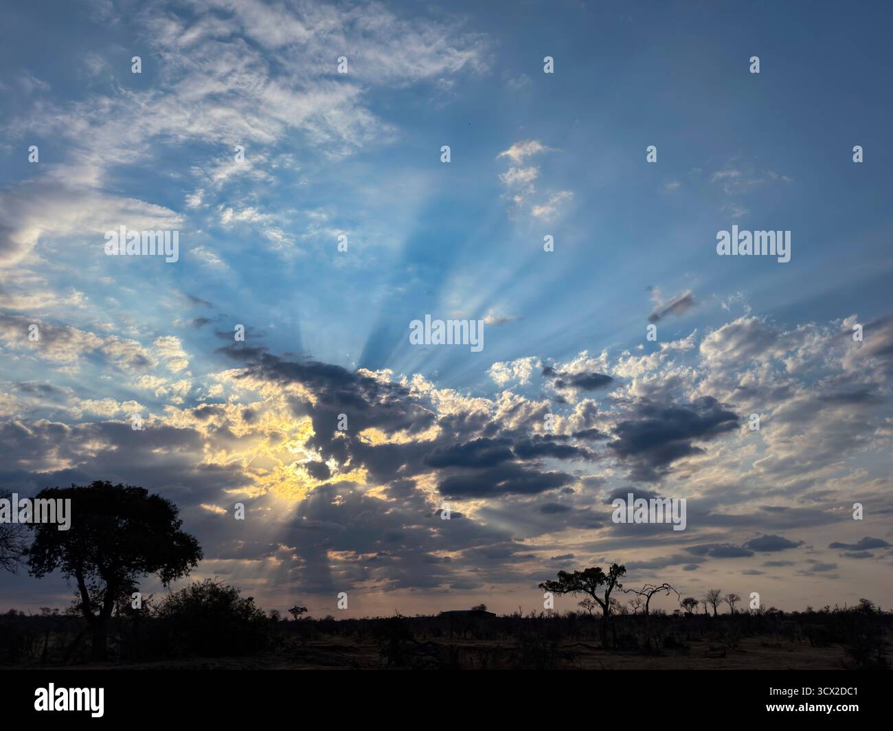 Paesaggio africano di uno splendido tramonto nel Parco Nazionale Greater Kruger - Immagine stock catturata con smartphone