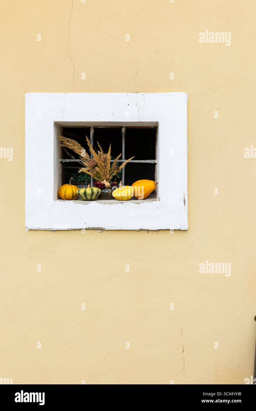 Finestra decorata con varie buongustai e piante essiccate su una parete gialla Foto Stock