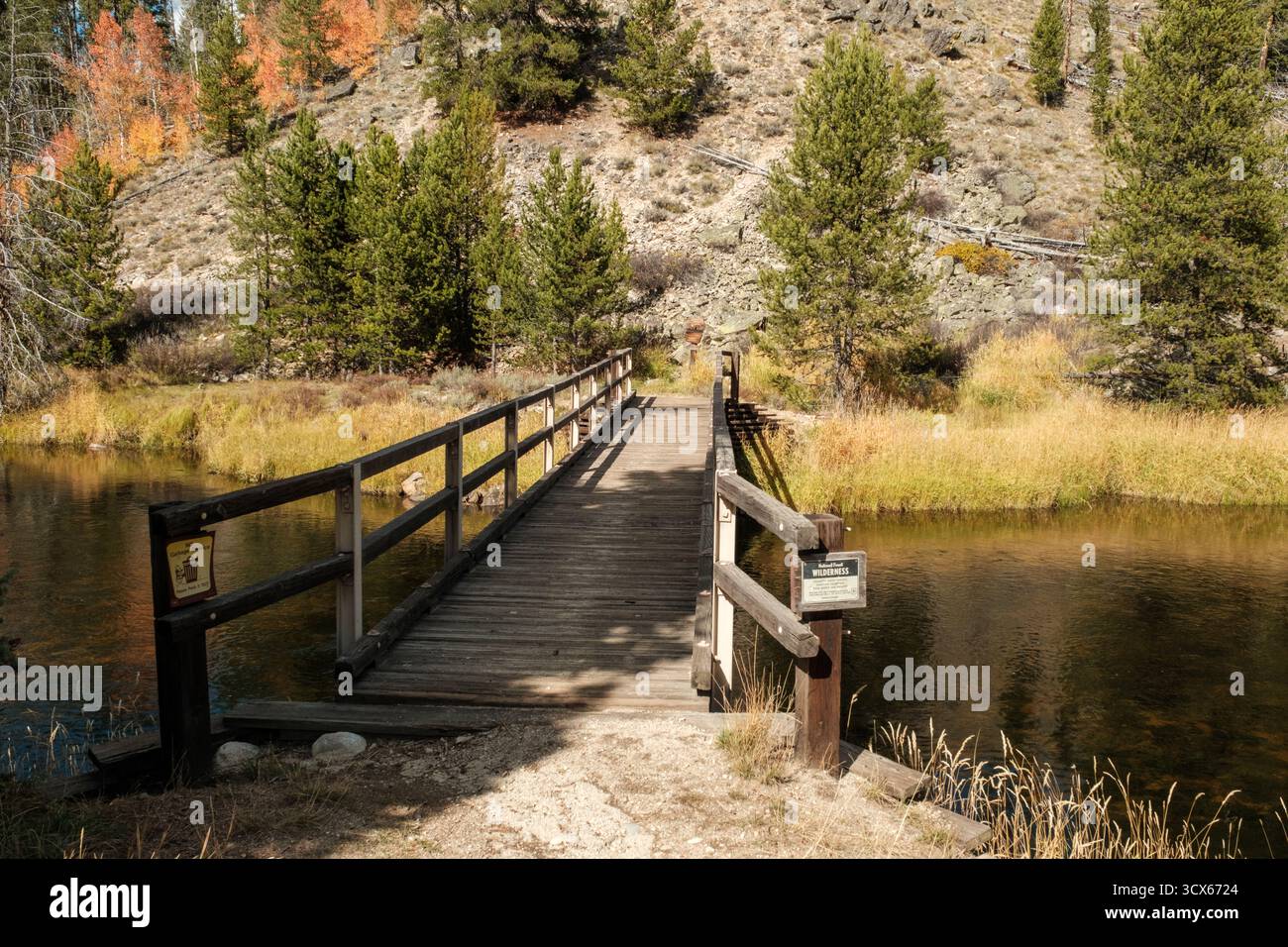 Beaver Creek e le sorgenti del Middle Fork del fiume Salmon Foto Stock