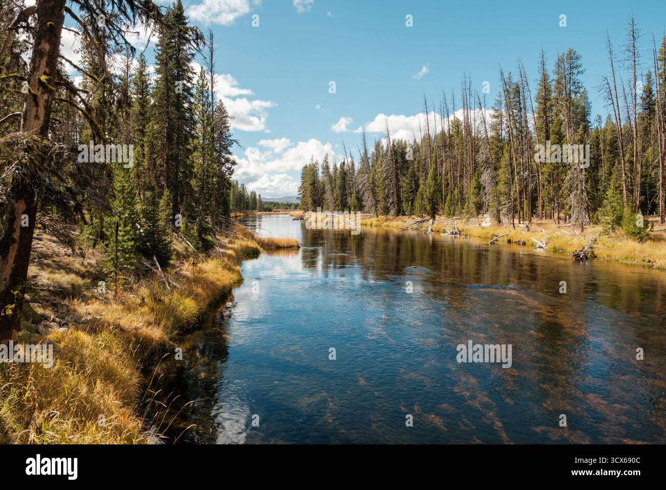 Beaver Creek e le sorgenti del Middle Fork del fiume Salmon Foto Stock