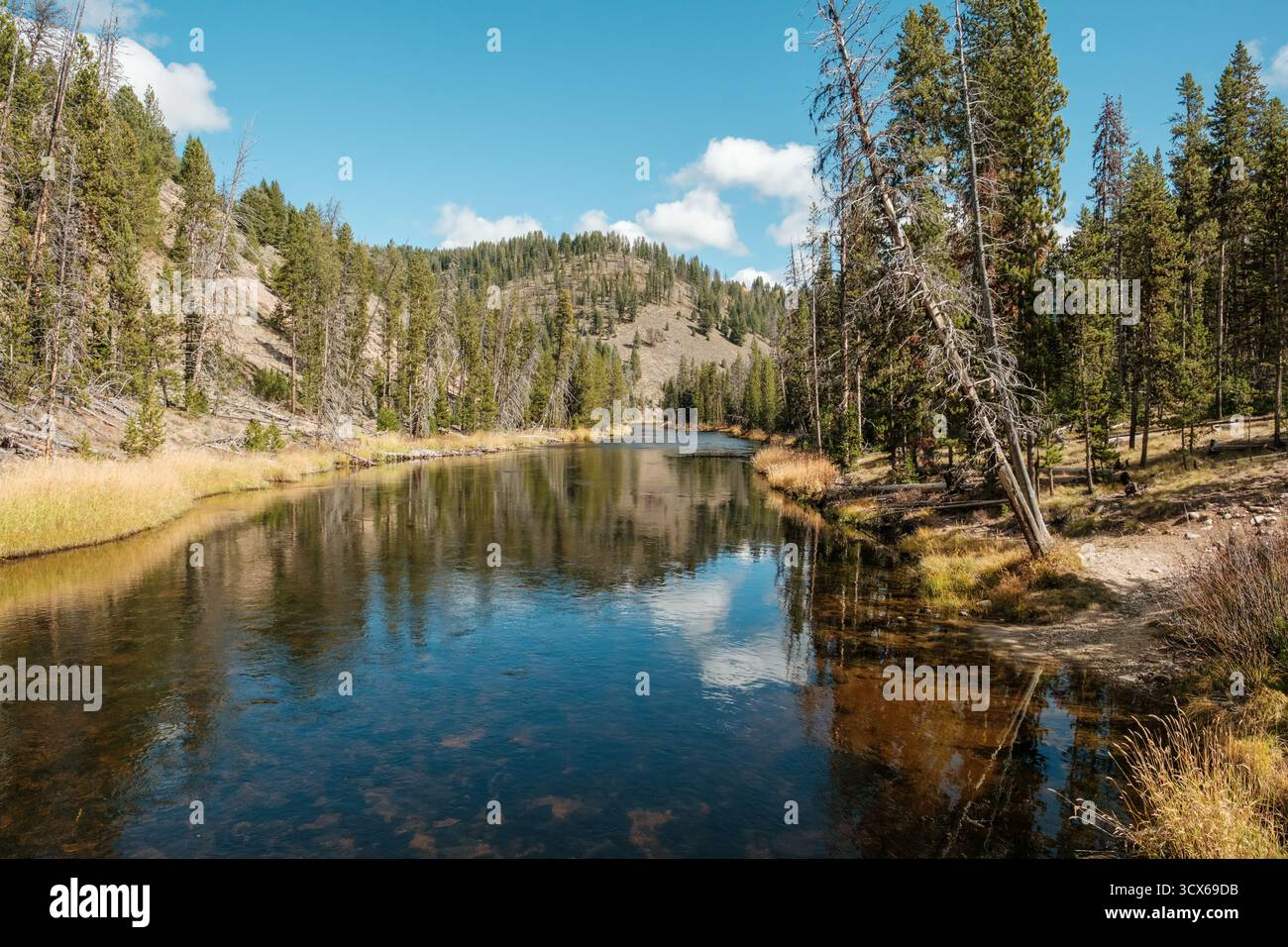 Beaver Creek e le sorgenti del Middle Fork del fiume Salmon Foto Stock