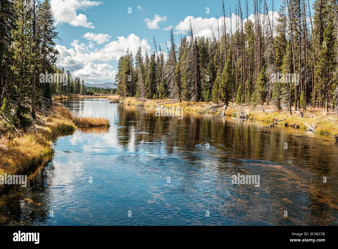 Beaver Creek e le sorgenti del Middle Fork del fiume Salmon Foto Stock
