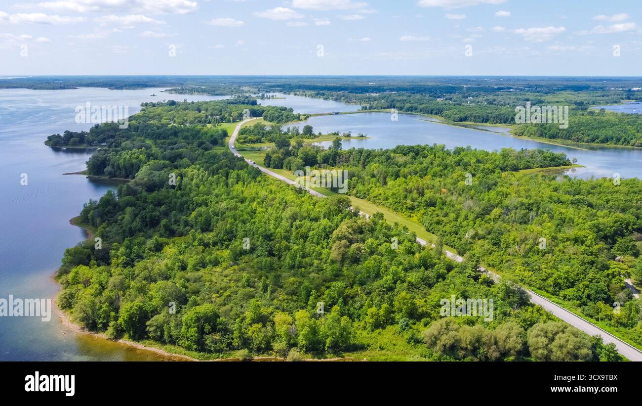 La prospettiva aerea rivela un vivace paesaggio verde con fiume tortuoso e laghi sereni, mettendo in risalto la bellezza della natura e l'ambiente tranquillo Foto Stock