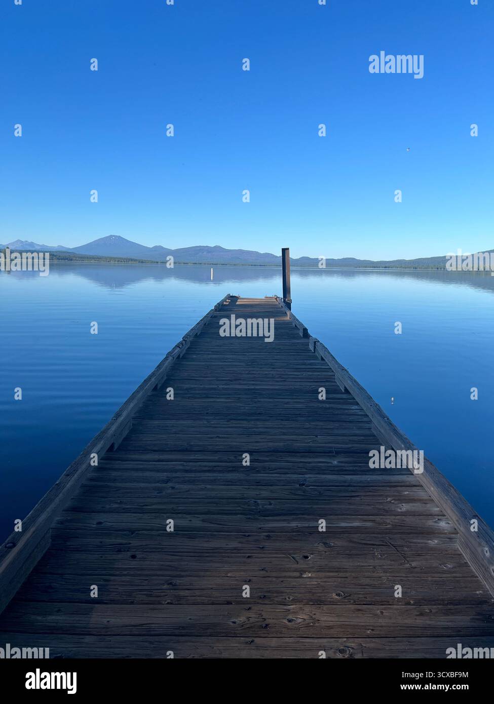 Lago artificiale Crane Prairie dell'Oregon - Immagine stock catturata con smartphone