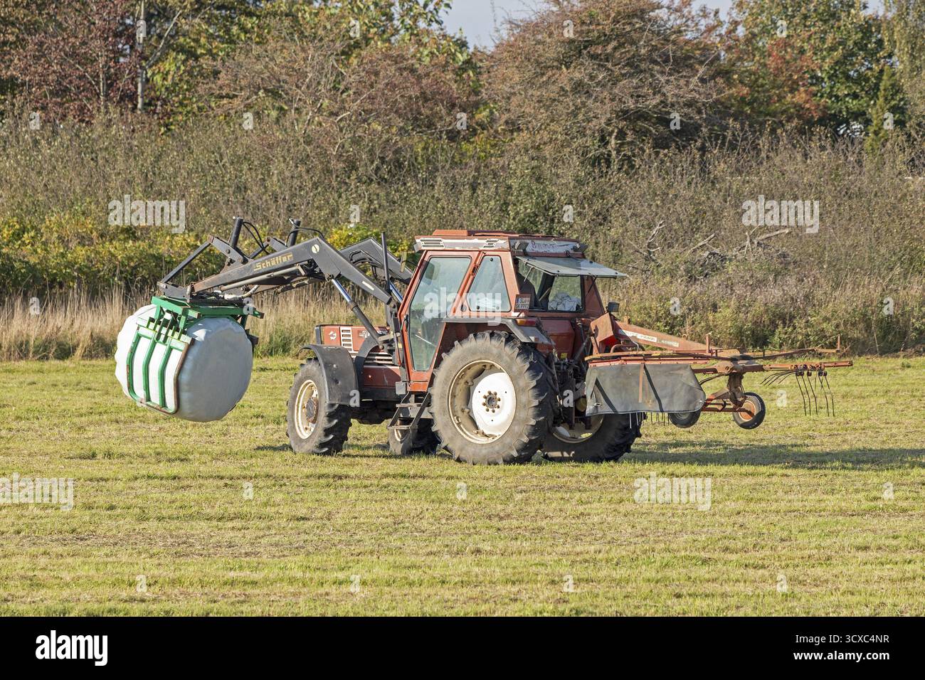 Trattore per il trasporto di balle di insilato avvolte in pellicola, Falshoeft, Pommerby, Schleswig-Holstein, Germania Foto Stock