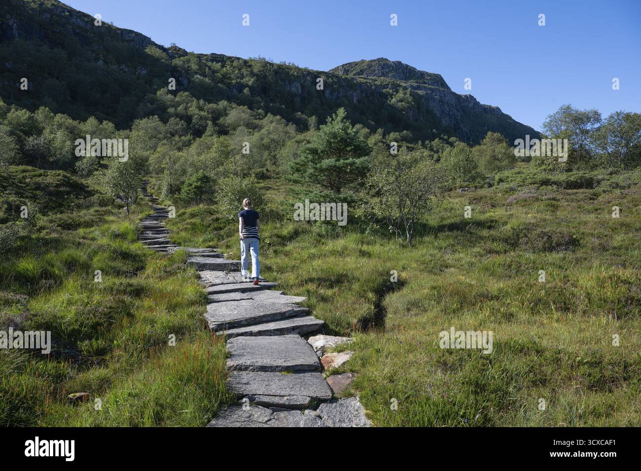 L'escursionista sale su scale di pietra, scale Sherpat o scale Midsund o Midsundtrappene, escursione Blokallen, isola di Midoya o Midoya, più og Romsdal, Norvegia Foto Stock