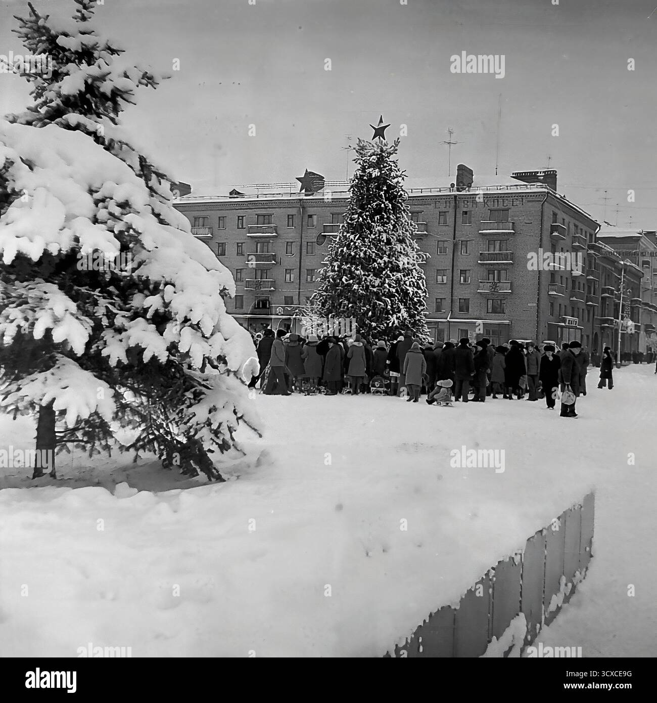 Una suggestiva foto d'archivio dell'inverno del 1976 mostra una celebrazione di Capodanno in Piazza della Rivoluzione d'ottobre (ora Piazza Soborna) a Sloviansk. Un grande abete spolverato di neve, sormontato da una classica stella sovietica, è il fulcro. Una folla di residenti, tra cui molti bambini, si riunisce per l'evento festivo. La scena, incorniciata da un albero carico di neve, cattura una tradizione dell'era sovietica. Questa foto è uno sguardo emozionante sulla vita della comunità e sulle vacanze invernali in un tranquillo Donbas prima della guerra Foto Stock