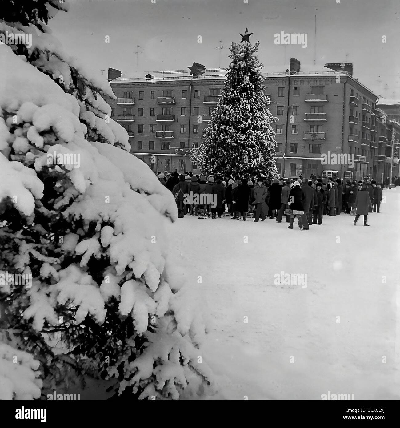 Una suggestiva foto d'archivio dell'inverno del 1976 mostra una celebrazione di Capodanno in Piazza della Rivoluzione d'ottobre (ora Piazza Soborna) a Sloviansk. Un grande abete spolverato di neve, sormontato da una classica stella sovietica, è il fulcro. Una folla di residenti, tra cui molti bambini, si riunisce per l'evento festivo. La scena, incorniciata da un albero carico di neve, cattura una tradizione dell'era sovietica. Questa foto è uno sguardo emozionante sulla vita della comunità e sulle vacanze invernali in un tranquillo Donbas prima della guerra Foto Stock