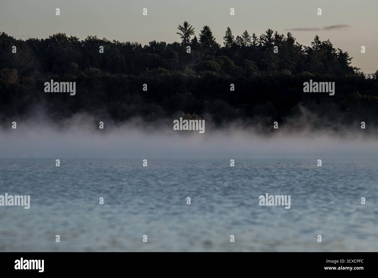Spaventoso lago nebbioso con foresta scura alle spalle per creare una scena naturale inquietante con spazio copia Foto Stock