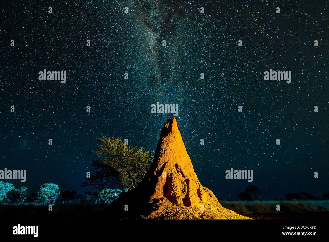 Cielo stellato notturno con la via Lattea visibile sopra il deserto della Namibia. Una splendida vista della galassia nei cieli meridionali e con nido di termiti. Foto Stock