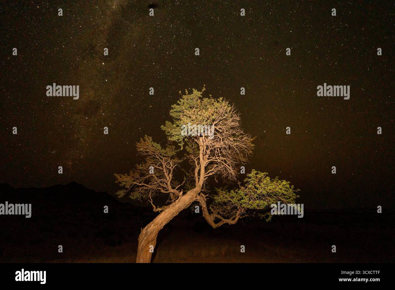 Cielo stellato notturno con la via Lattea visibile sopra il deserto della Namibia. Una vista mozzafiato della galassia nei cieli del sud. Foto Stock