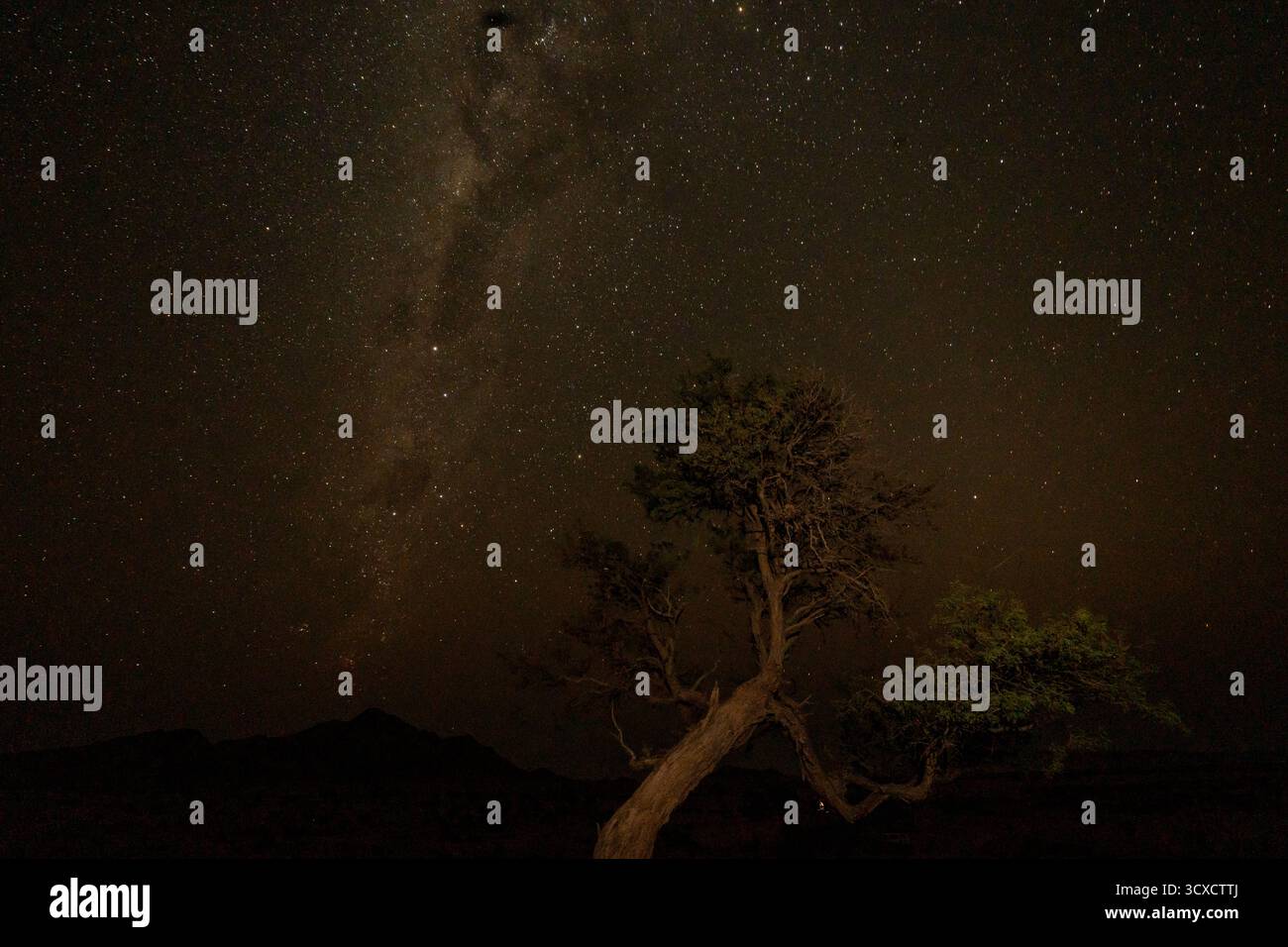 Cielo stellato notturno con la via Lattea visibile sopra il deserto della Namibia. Una vista mozzafiato della galassia nei cieli del sud. Foto Stock