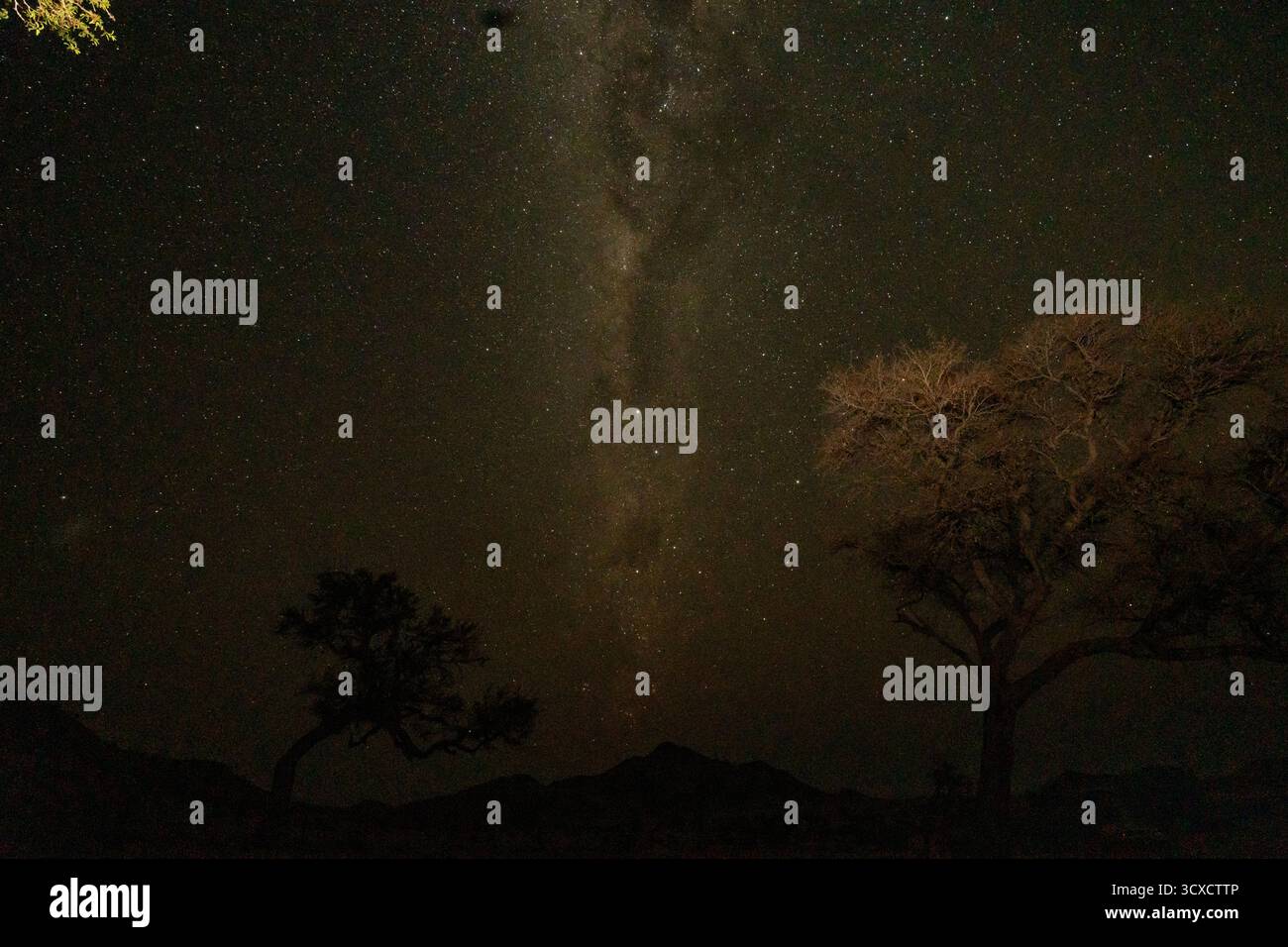 Cielo stellato notturno con la via Lattea visibile sopra il deserto della Namibia. Una vista mozzafiato della galassia nei cieli del sud. Foto Stock