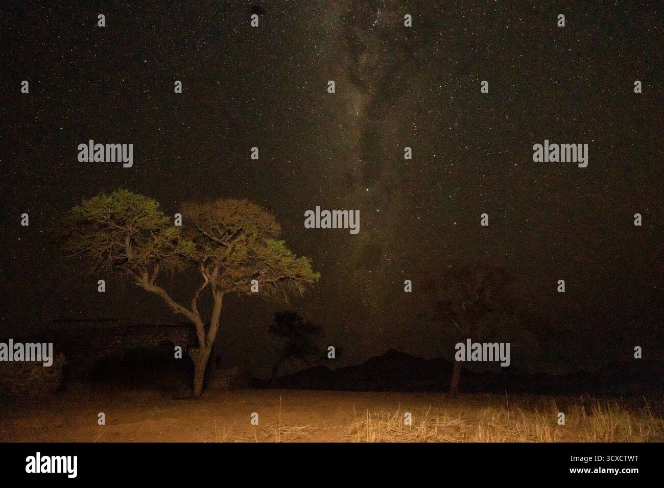 Cielo stellato notturno con la via Lattea visibile sopra il deserto della Namibia. Una vista mozzafiato della galassia nei cieli del sud. Foto Stock