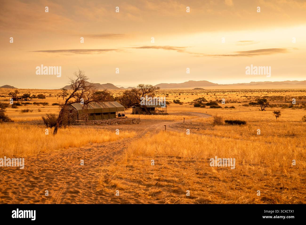 Tramonto dorato sul North Windhok, savana namibiana con alberi sparsi e campeggio all'orizzonte. La calda luce della sera e i colori vivaci catturano la tua personalità Foto Stock