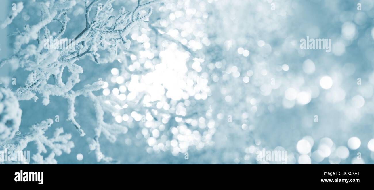 Rami invernali smerigliati con sfondo bokeh a luce soffusa Foto Stock