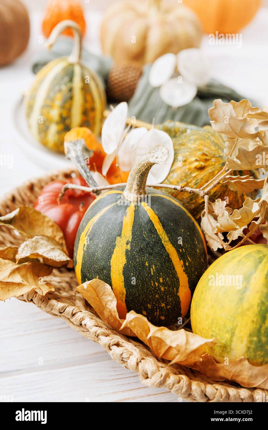 Cestino verticale con zucche e foglie di quercia Foto Stock