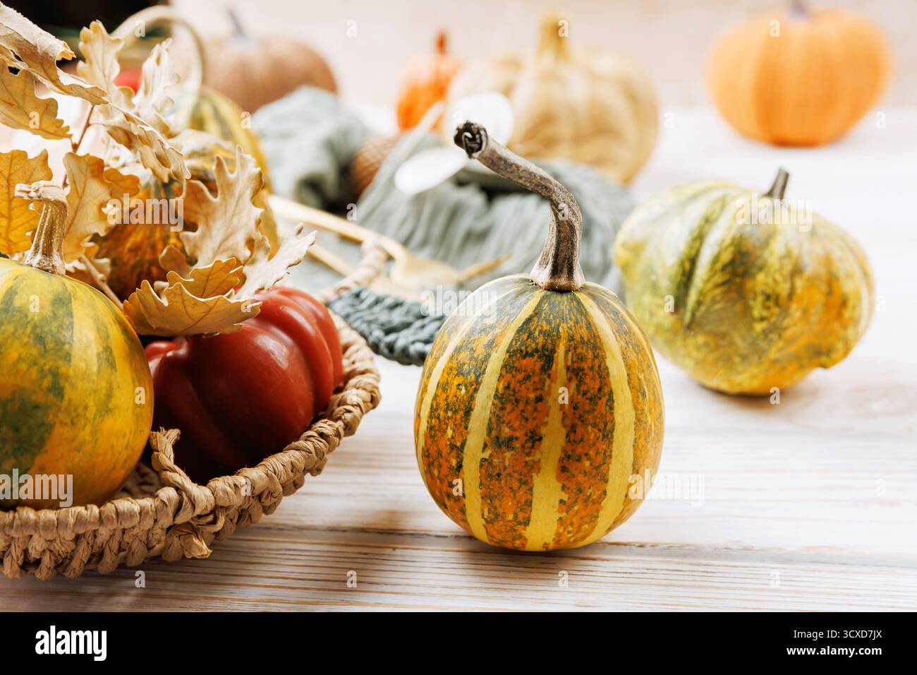 Giorno del Ringraziamento natura morta con zucche decorative e cestino Foto Stock