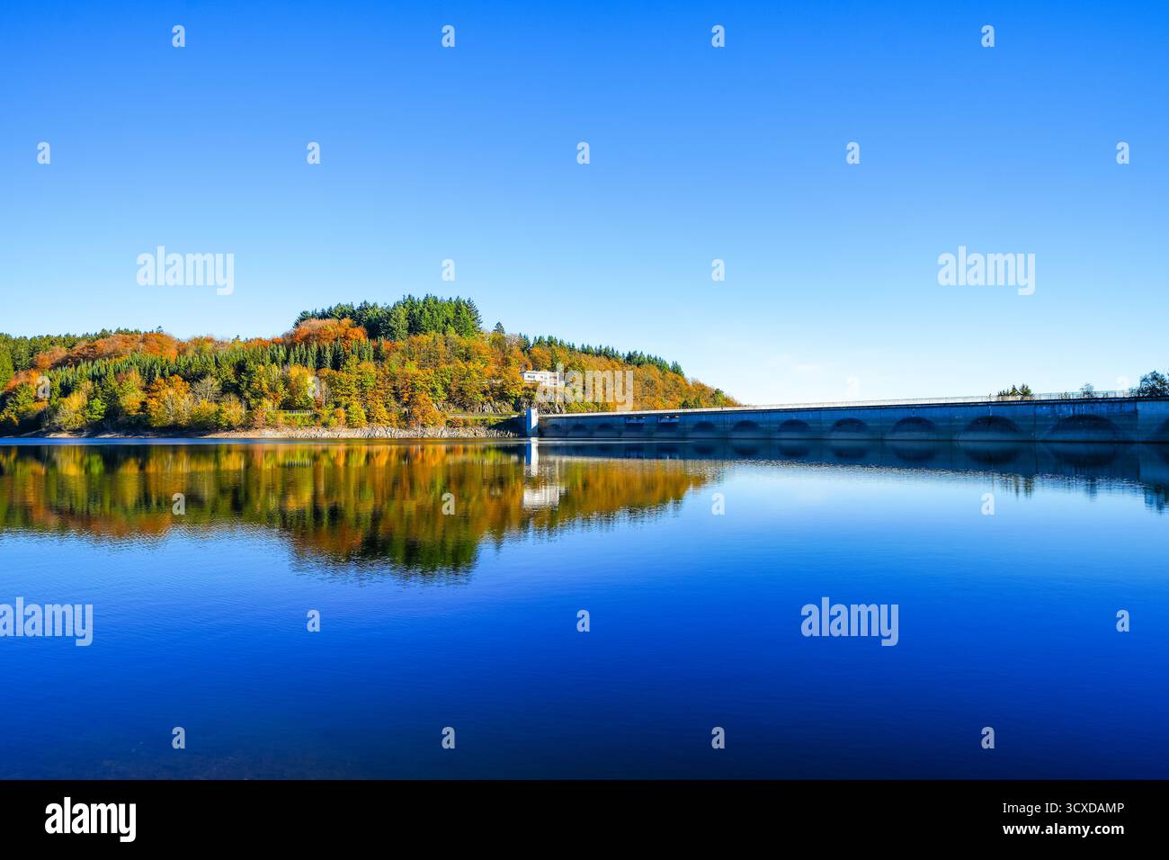 Vista della diga di Oleftalsperre e del paesaggio circostante. Natura al lago vicino al parco nazionale Eifel vicino a Hellenthal, nella Hohes Venn-Eifel N Foto Stock