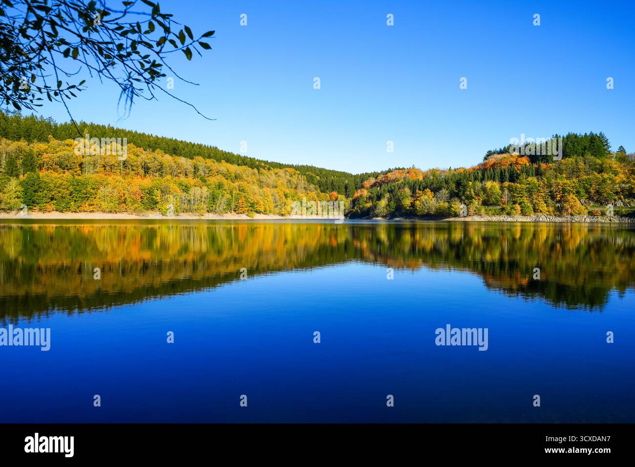 Vista della diga di Oleftalsperre e del paesaggio circostante. Natura al lago vicino al parco nazionale Eifel vicino a Hellenthal, nella Hohes Venn-Eifel N Foto Stock